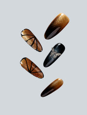 Midnight Butterfly