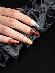 Lady Bug